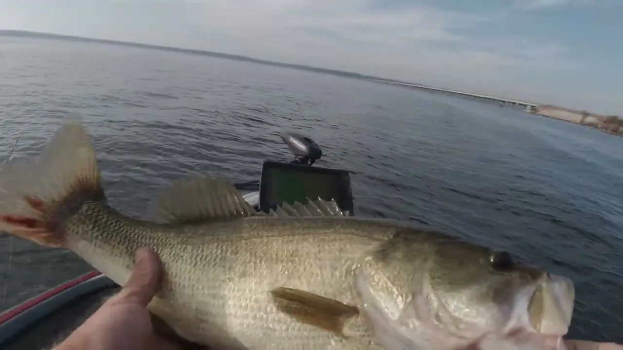 Big Bass Splash: guía, RTP y dónde jugar: imagen 2